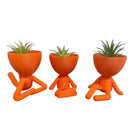 Trio Verde Lux para Suculentas e Cactos - KIT COM TRÊS MINI VASOS