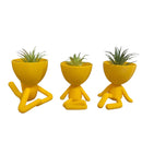 Trio Verde Lux para Suculentas e Cactos - KIT COM TRÊS MINI VASOS