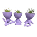 Trio Verde Lux para Suculentas e Cactos - KIT COM TRÊS MINI VASOS