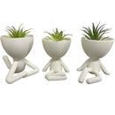 Trio Verde Lux para Suculentas e Cactos - KIT COM TRÊS MINI VASOS