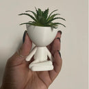 Trio Verde Lux para Suculentas e Cactos - KIT COM TRÊS MINI VASOS